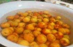 Домашнее варенье из абрикосов дольками Ингредиенты для варенья из абрикосов дольками
